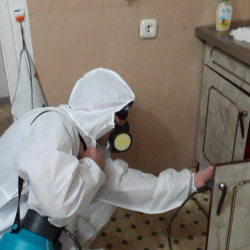 Дезинфекция от муравьев в квартире в Похвистнево
