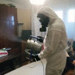 Дезинфекция от клопов в Похвистнево