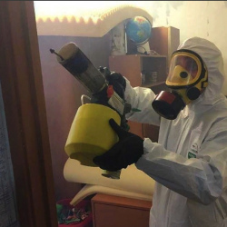 Уничтожение клопов в квартире. Похвистнево